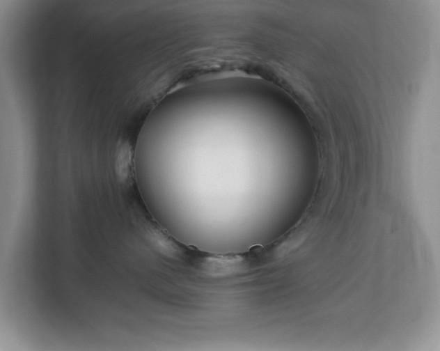 X0000113070480200909041101