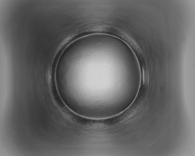 X0000113070483200909041101