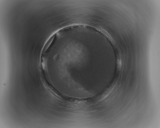 X0000113070484200909041101