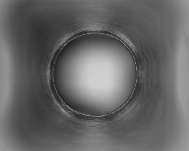 X0000113070485200909041101