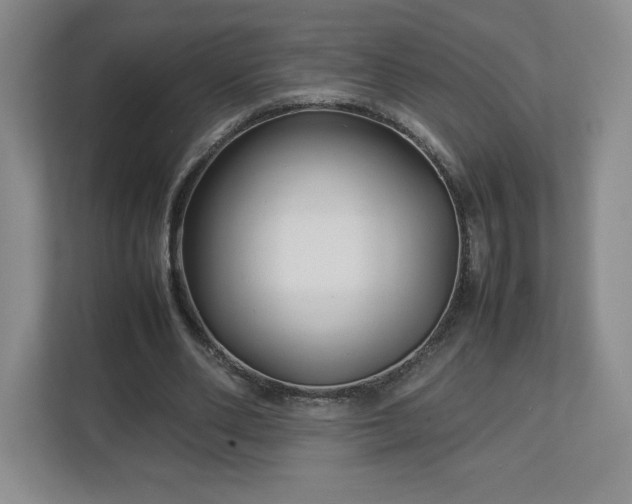 X0000113070486200909041101