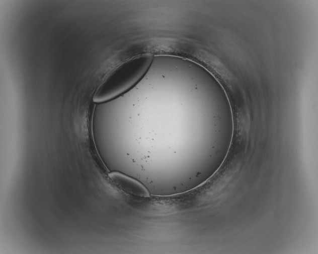 X0000113070489200909041101