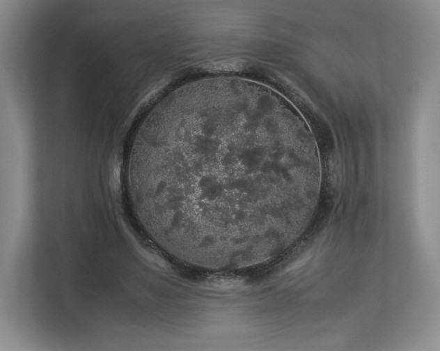 X0000113070491200909041101