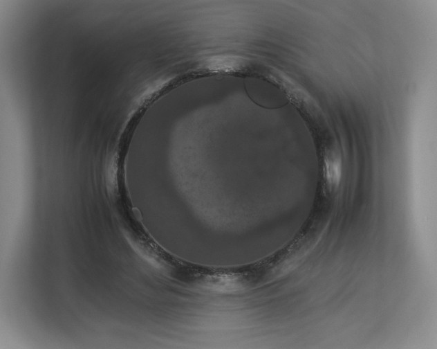 X0000113070492200909041101