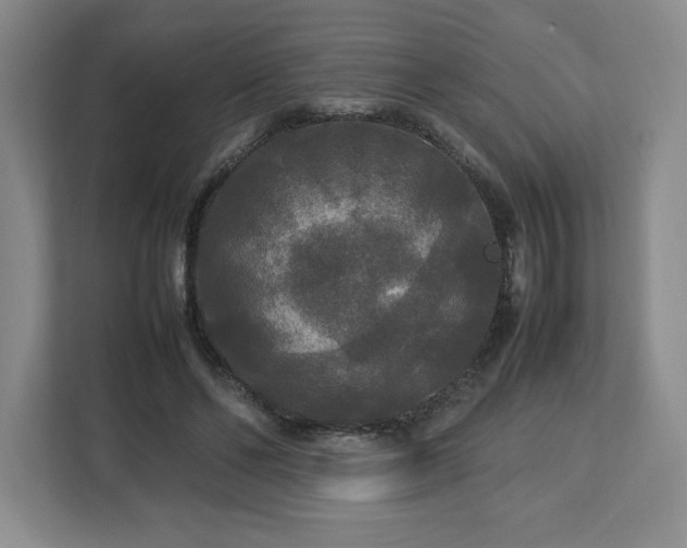 X0000113070494200909041101