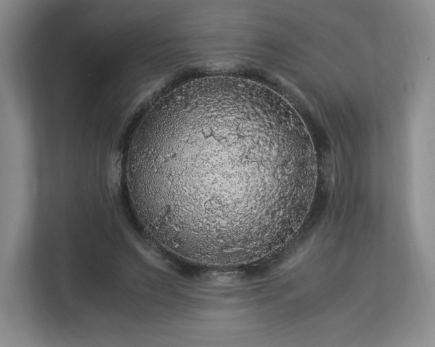 X0000113070495200909041101