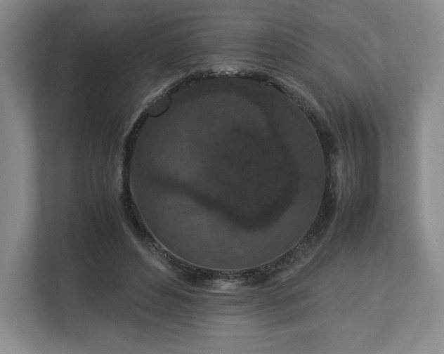 X0000113070496200909041101