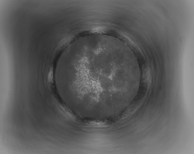 X0000113070502200909041100