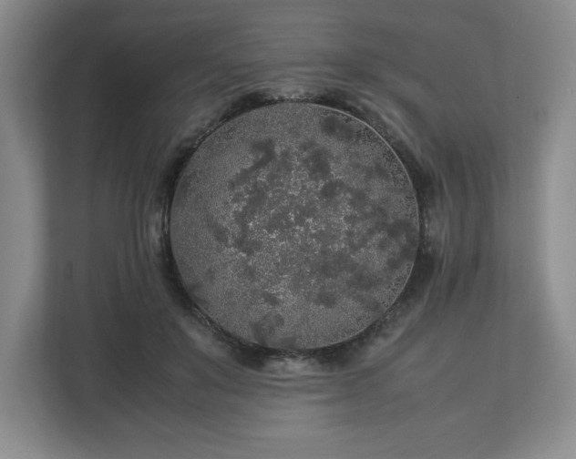 X0000113070503200909041100