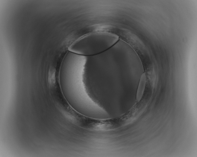 X0000113070504200909041100