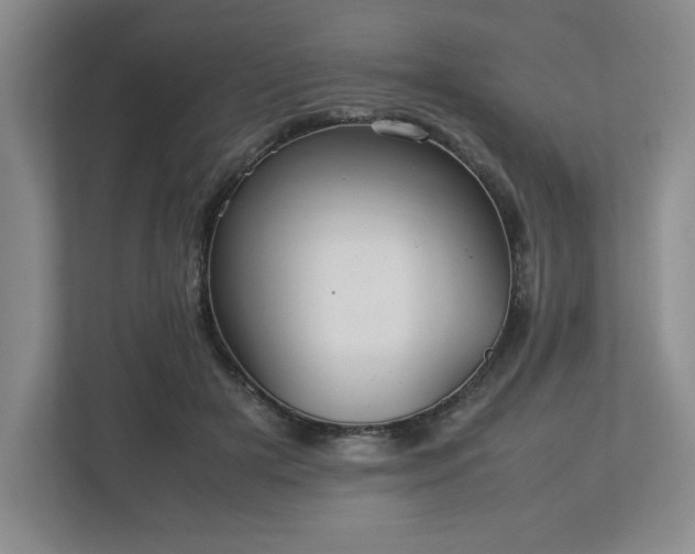 X0000113070505200909041100