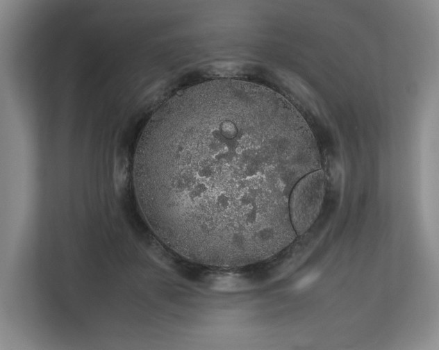 X0000113070507200909041100