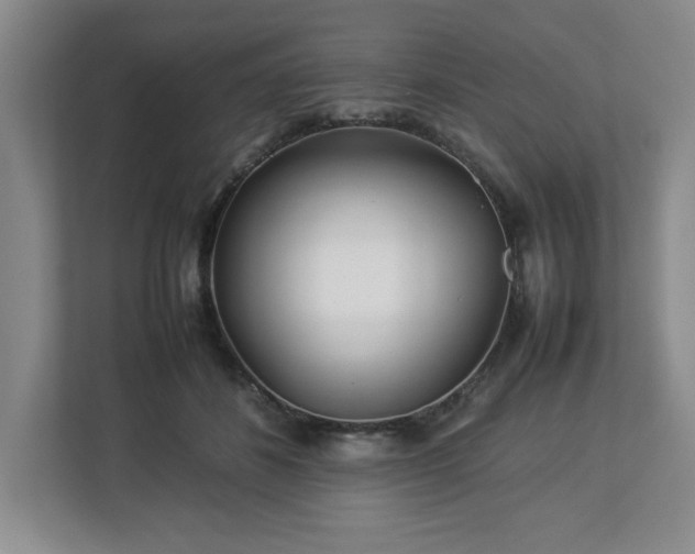 X0000113070508200909041100