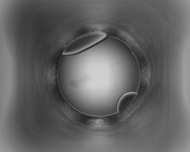 X0000113070509200909041100