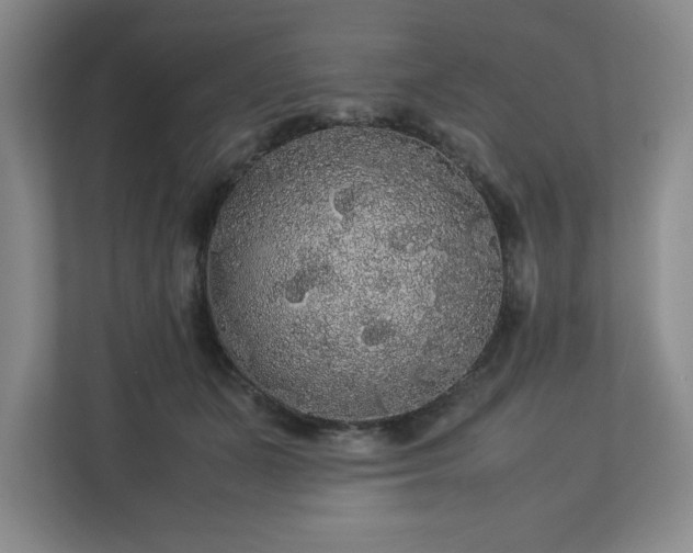 X0000113070511200909041100