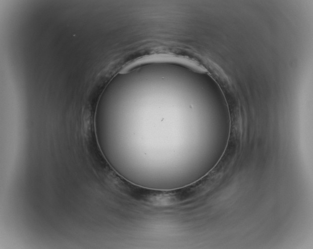 X0000113070513200909041100