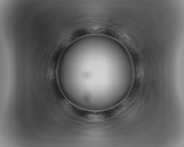 X0000113070515200909041100