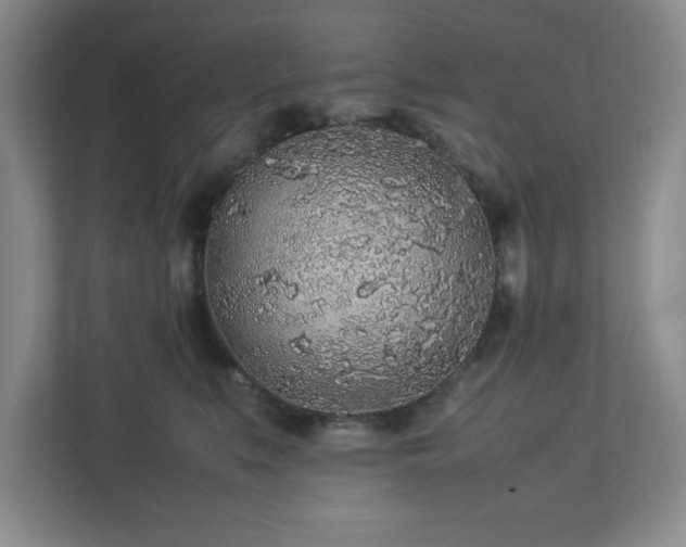 X0000113070519200909041100