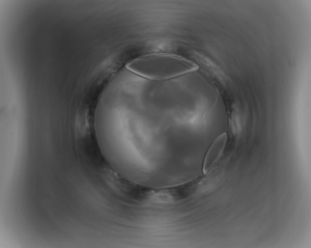 X0000113070520200909041100