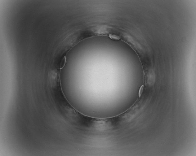 X0000113070521200909041100