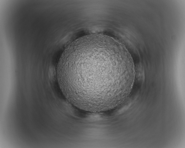 X0000113070523200909041100