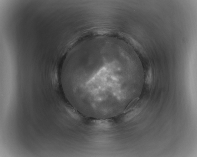 X0000113070524200909041100