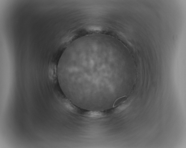 X0000113070528200909041100