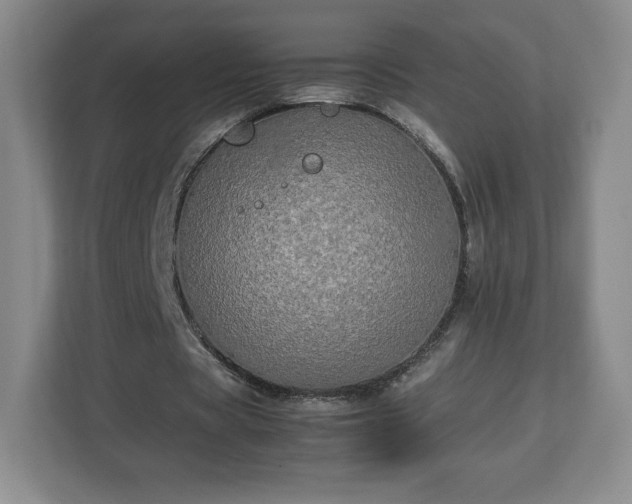 X0000113070529200909041059