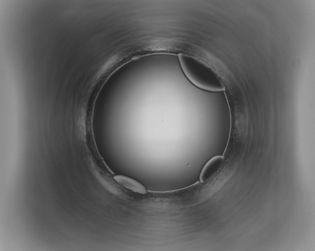 X0000113070530200909041059