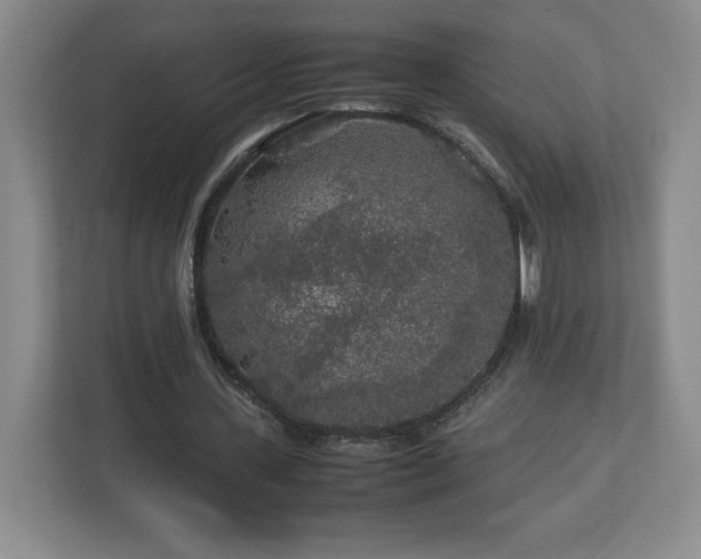 X0000113070531200909041059