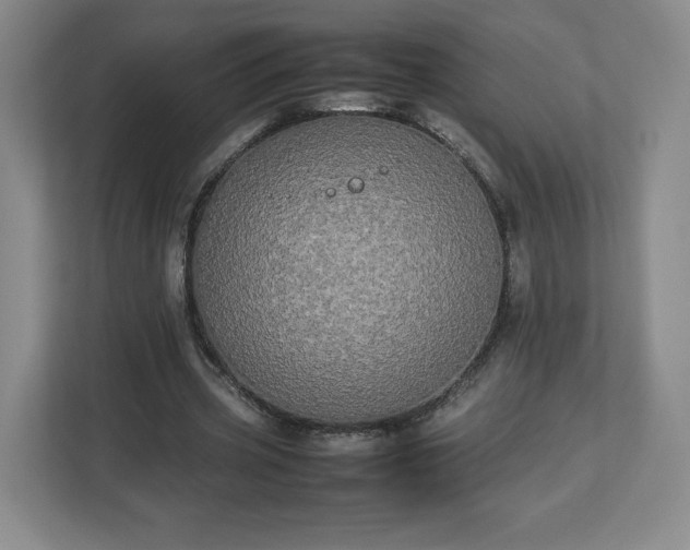 X0000113070533200909041100