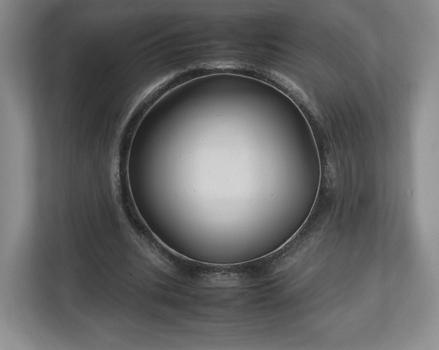 X0000113070535200909041100