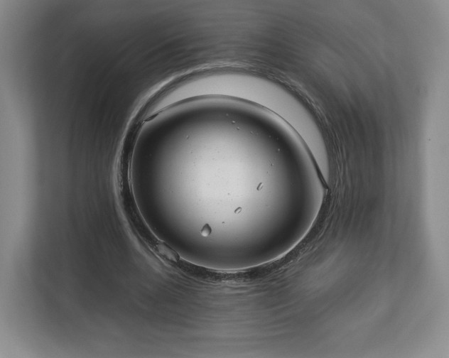 X0000113070536200909041100