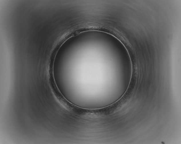 X0000113070538200909041100