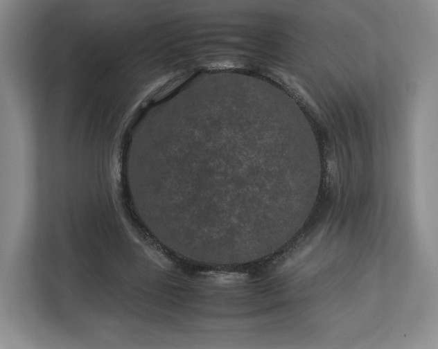 X0000113070539200909041100