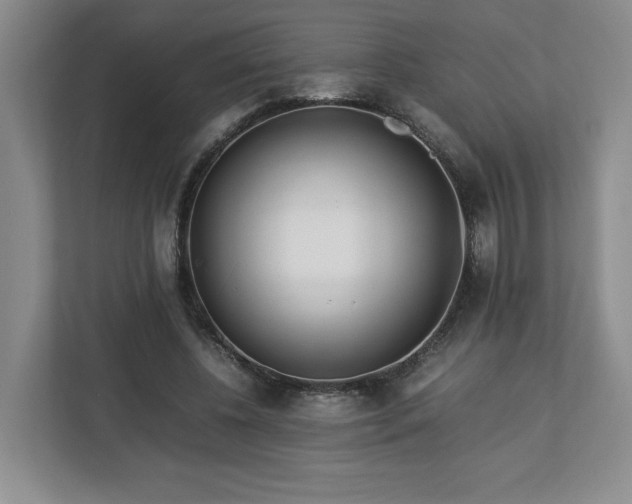 X0000113070540200909041100