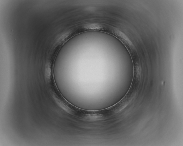 X0000113070541200909041100