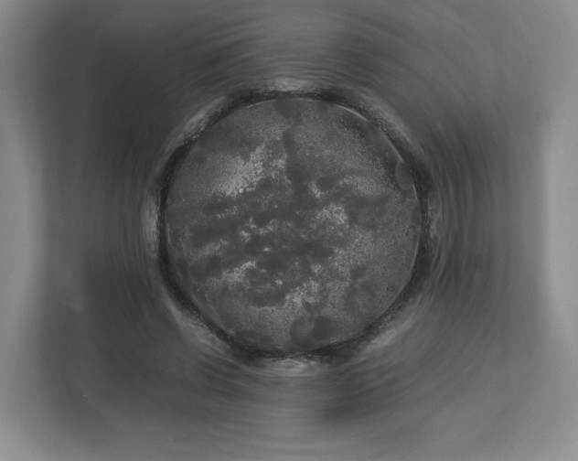 X0000113070542200909041100