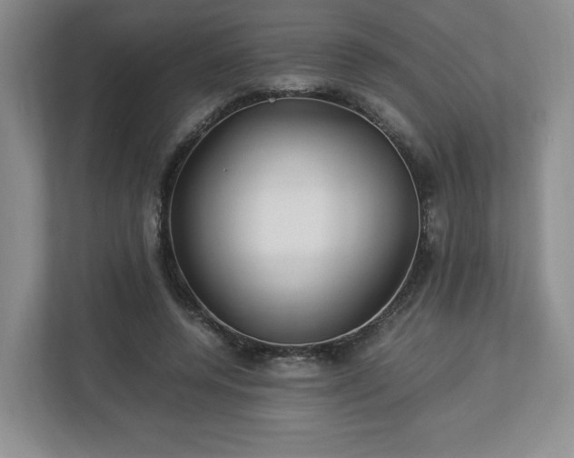 X0000113070544200909041100