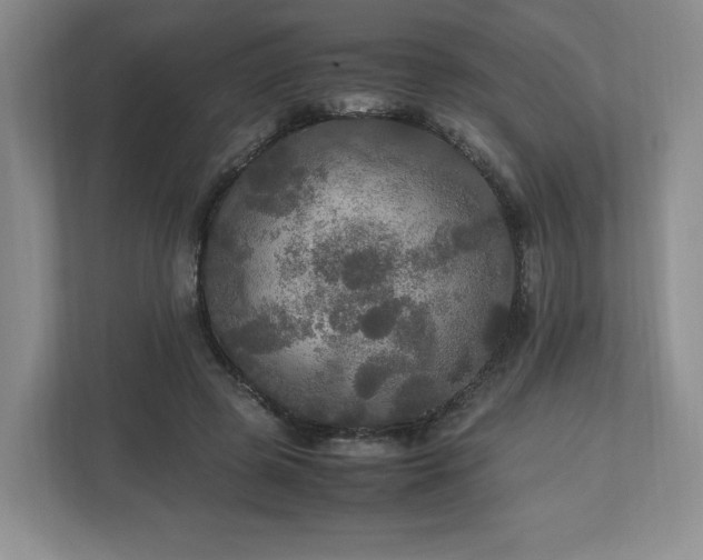 X0000113070545200909041100