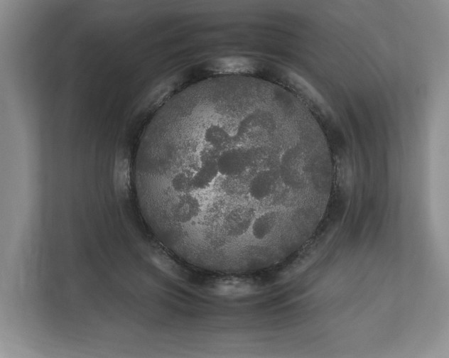 X0000113070549200909041100