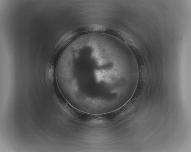 X0000113070550200909041100