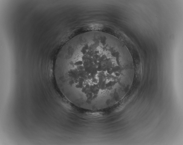 X0000113070553200909041100