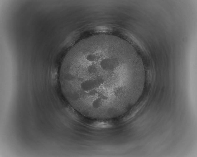 X0000113070557200909041100