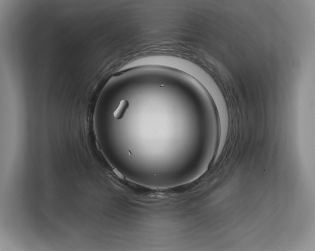 X0000113070558200909041100