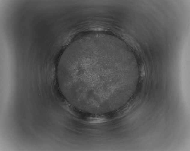 X0000113070559200909041100