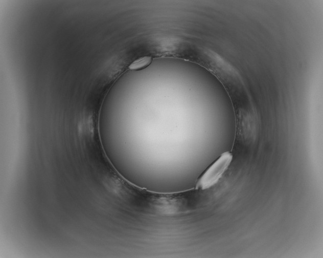 X0000113070562200909041100