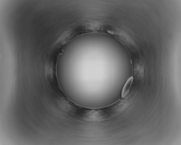 X0000113070566200909041100