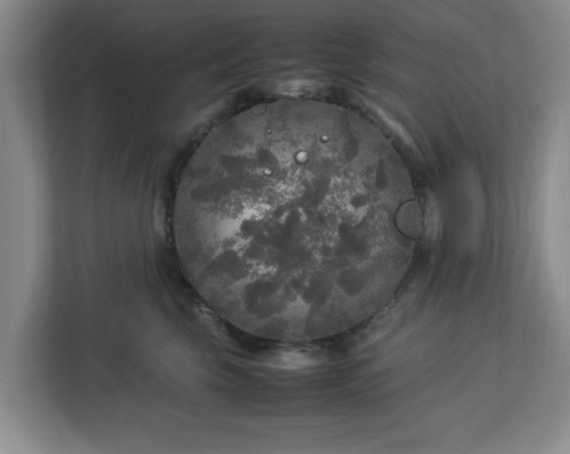 X0000113070569200909041100