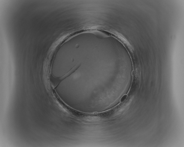 X0000113070577200909041059